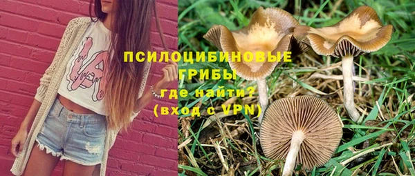 мяу мяу мука Алексин