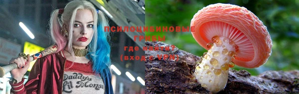 амф Алзамай