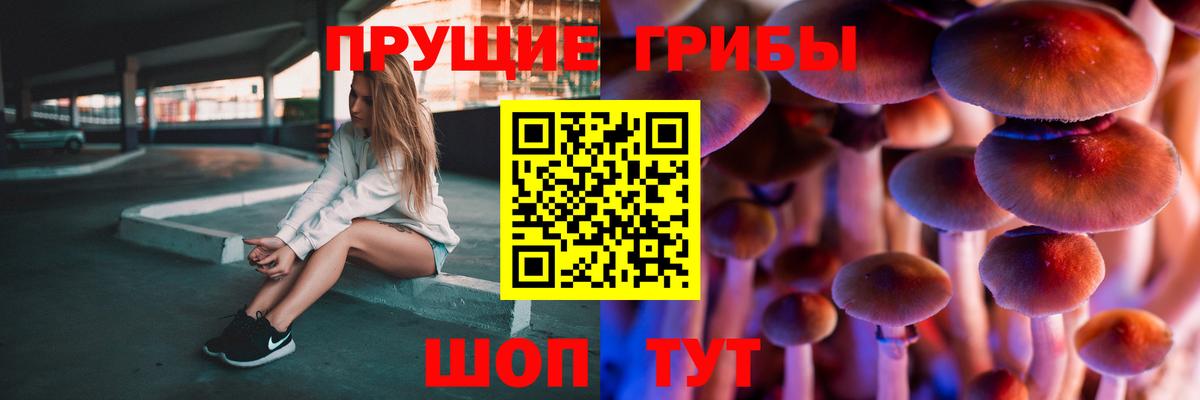 Галлюциногенные грибы GOLDEN TEACHER  Вход с VPN  Евпатория  Галлюциногенные грибы Psilocybe 